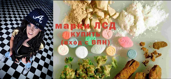крисы Каменка