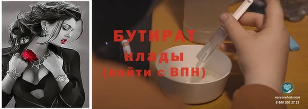 крисы Каменка