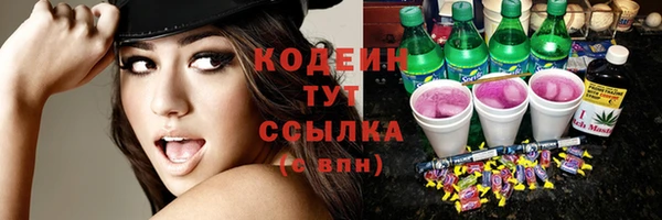 крисы Каменка