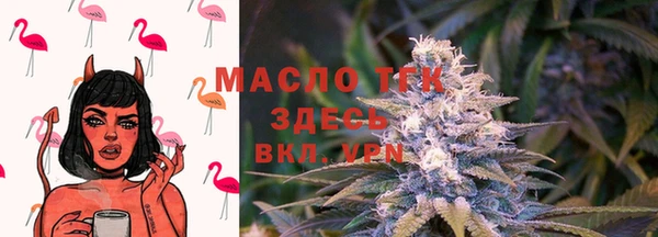 крисы Каменка