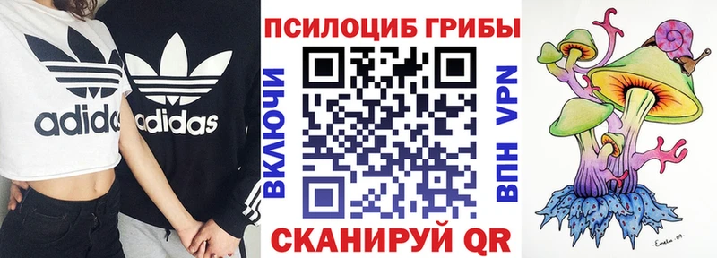 закладки  МЕГА рабочий сайт  Галлюциногенные грибы ЛСД  Назрань 